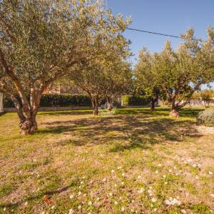 Hrvatska, Zadar, Briševo – Dvojnica s velikom okućnicom i dva stana, mirna lokacija, 1.216 m²