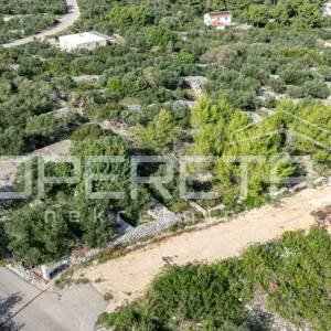 Idealno zemljište za gradnju na Korčuli – 1.446 m² u Lumbardi