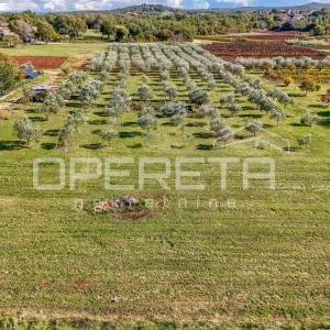 Investicijska prilika – Građevinsko i poljoprivredno zemljište u blizini Poreča