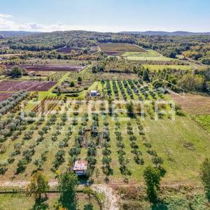 Investicijska prilika – Građevinsko i poljoprivredno zemljište u blizini Poreča