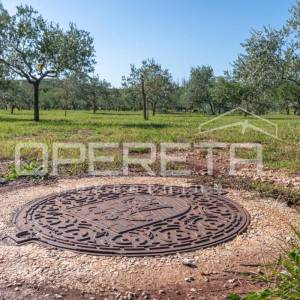 Investicijska prilika – Građevinsko i poljoprivredno zemljište u blizini Poreča