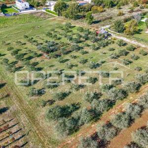 Investicijska prilika – Građevinsko i poljoprivredno zemljište u blizini Poreča