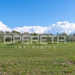 Investicijska prilika – Građevinsko i poljoprivredno zemljište u blizini Poreča