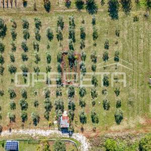 Investicijska prilika – Građevinsko i poljoprivredno zemljište u blizini Poreča