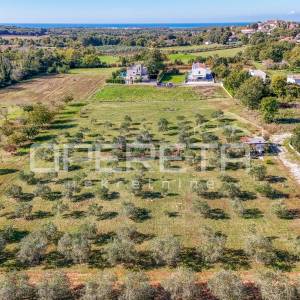 Investicijska prilika – Građevinsko i poljoprivredno zemljište u blizini Poreča