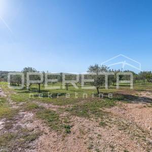 Investicijska prilika – Građevinsko i poljoprivredno zemljište u blizini Poreča