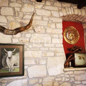 Istarska kamena vila sa bazenom i restoranom
