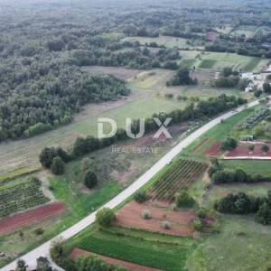 ISTRA, BARBAN Investicijska prilika! Građevinske parcele s pogledom na more s idejnim projektom!
