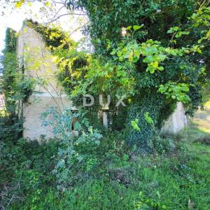 ISTRA, BOLJUN - Dvije samosotjeće kamene starine s 18.000 m2 zemljišta