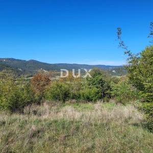 ISTRA, BOLJUN - Dvije samosotjeće kamene starine s 18.000 m2 zemljišta