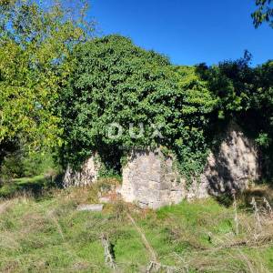 ISTRA, BOLJUN - Dvije samosotjeće kamene starine s 18.000 m2 zemljišta