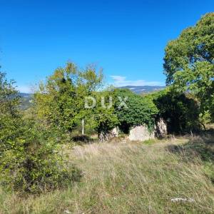 ISTRA, BOLJUN - Dvije samosotjeće kamene starine s 18.000 m2 zemljišta