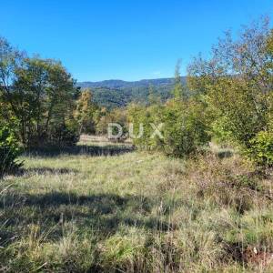 ISTRA, BOLJUN - Dvije samosotjeće kamene starine s 18.000 m2 zemljišta