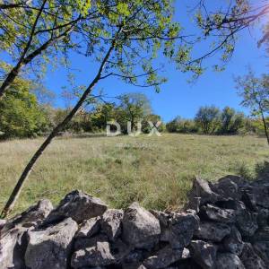 ISTRA, BOLJUN - Kamene starine s 18.000 m2 zemljišta