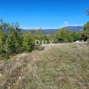 ISTRA, BOLJUN - Kamene starine s 18.000 m2 zemljišta