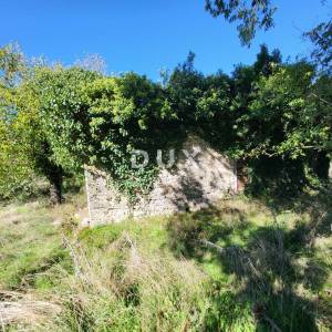ISTRA, BOLJUN - Kamene starine s 18.000 m2 zemljišta