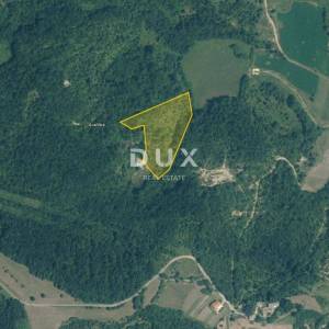 ISTRA, GRAČIŠĆE - Poljoprivredno zemljište, 9.810m2