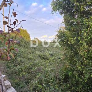 ISTRA, GRAČIŠĆE - Poljoprivredno zemljište, 511m2