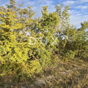 ISTRA, GRAČIŠĆE - Poljprivrednoo zemljište s asfaltiranim prilazom