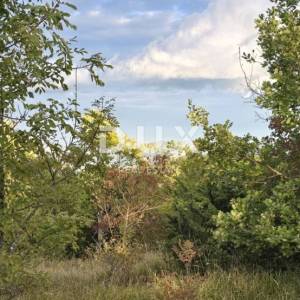 ISTRA, GRAČIŠĆE - Poljprivrednoo zemljište s asfaltiranim prilazom