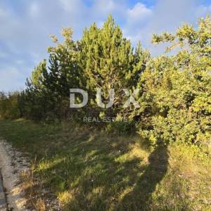ISTRA, GRAČIŠĆE - Poljprivrednoo zemljište s asfaltiranim prilazom