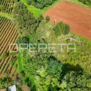 Istra, Karojba- Građevinsko zemljište sa lijepim pogledom
