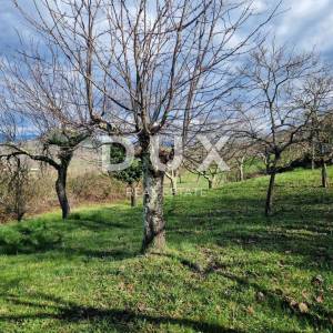 ISTRA, MOTOVUN - Zemljište s impresivnim pogledom