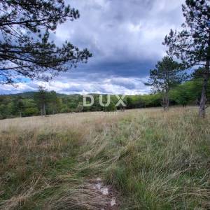 ISTRA, OPARTALJ - Poljoprivredno zemljište u cjelini