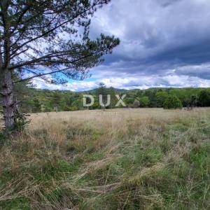 ISTRA, OPARTALJ - Poljoprivredno zemljište u cjelini