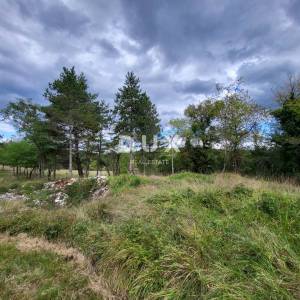 ISTRA, OPARTALJ - Poljoprivredno zemljište u cjelini