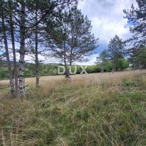 ISTRA, OPARTALJ - Poljoprivredno zemljište u cjelini