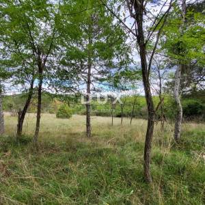 ISTRA, OPARTALJ - Poljoprivredno zemljište u cjelini