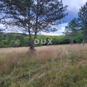 ISTRA, OPARTALJ - Poljoprivredno zemljište u cjelini