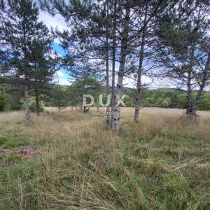 ISTRA, OPARTALJ - Poljoprivredno zemljište u cjelini