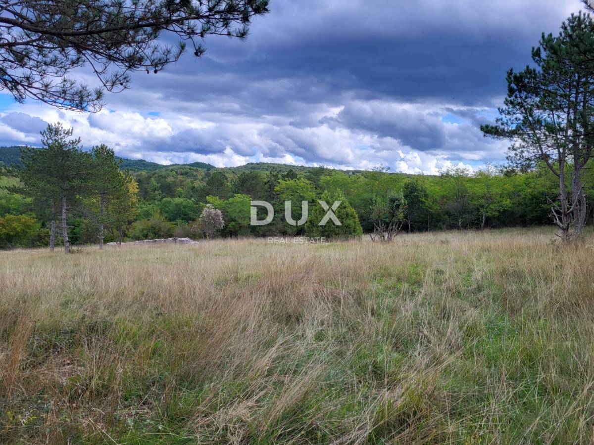 ISTRA, OPARTALJ - Poljoprivredno zemljište u cjelini