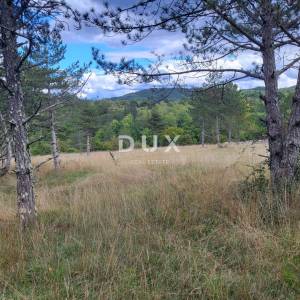 ISTRA, OPARTALJ - Poljoprivredno zemljište u cjelini