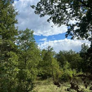 ISTRA, POREČ (BADERNA) Teren za vilu s puno privatnosti i zelenila! 800m2 građevinskog i 7034m2 poljoprivrednog!