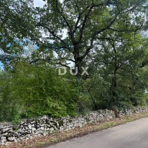 ISTRA, POREČ (BADERNA) Teren za vilu s puno privatnosti i zelenila! 800m2 građevinskog i 7034m2 poljoprivrednog!