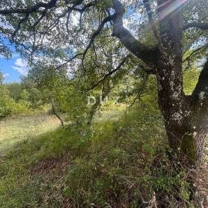 ISTRA, POREČ (BADERNA) Teren za vilu s puno privatnosti i zelenila! 800m2 građevinskog i 7034m2 poljoprivrednog!