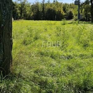 Istra, Poreč, građevinsko zemljište, 1.350m2, pogled na more
