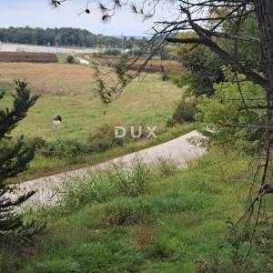 ISTRA, POREČ - Poljoprivredno zemljište 1km od mora 