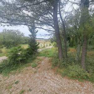 ISTRA, POREČ - Poljoprivredno zemljište 1km od mora 
