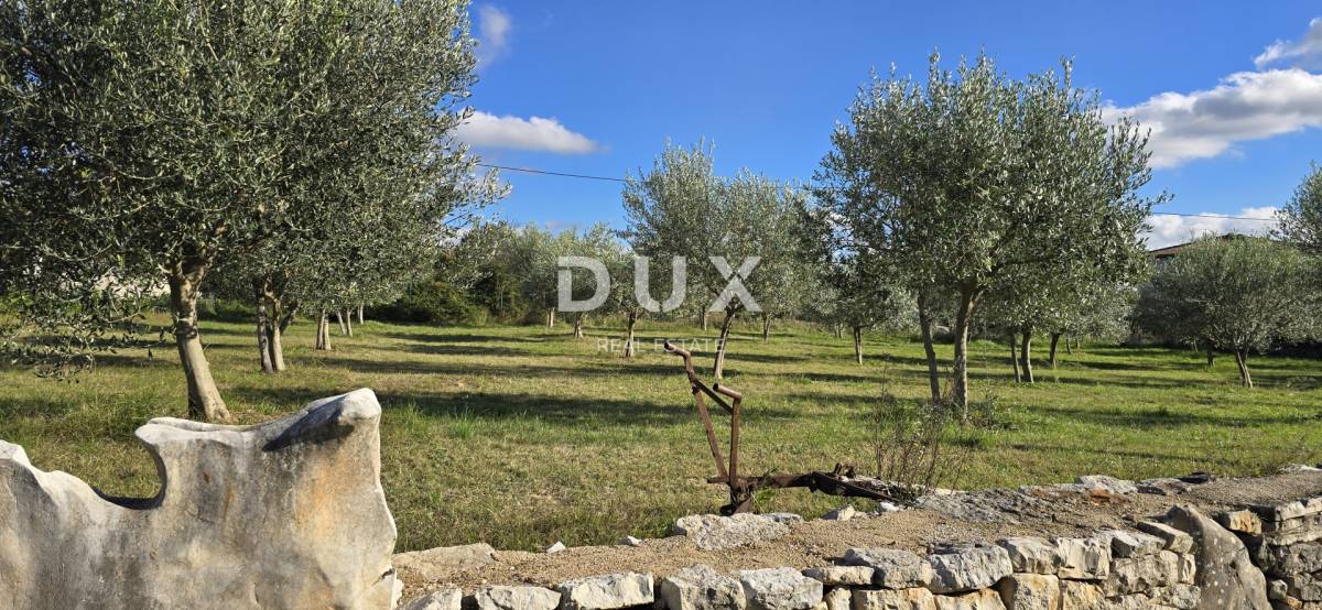 ISTRA, POREČ - Zemljište za gradnju nadomak Svetog Lovreča