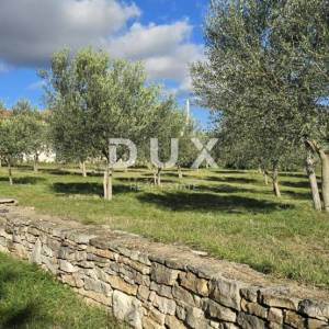 ISTRA, POREČ - Zemljište za gradnju nadomak Svetog Lovreča