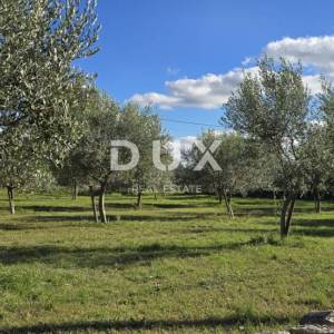 ISTRA, POREČ - Zemljište za gradnju dviju kuća nadomak Svetog Lovreča - mir i autentičnost Istre