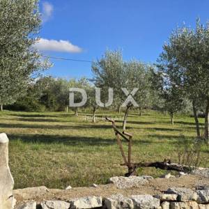 ISTRA, POREČ - Zemljište za gradnju dviju kuća nadomak Svetog Lovreča - mir i autentičnost Istre