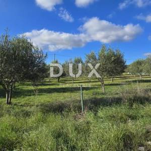 ISTRA, POREČ - Zemljište za gradnju dviju kuća nadomak Svetog Lovreča - mir i autentičnost Istre