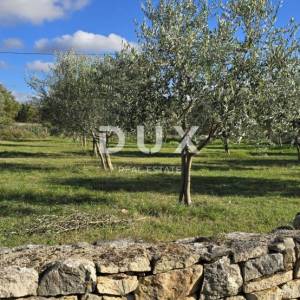 ISTRA, POREČ - Zemljište za gradnju dviju kuća nadomak Svetog Lovreča - mir i autentičnost Istre