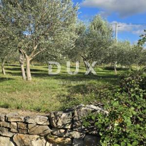 ISTRA, POREČ - Zemljište za gradnju dviju kuća nadomak Svetog Lovreča - mir i autentičnost Istre