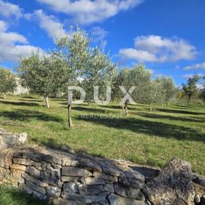 ISTRA, POREČ - Zemljište za gradnju dviju kuća nadomak Svetog Lovreča - mir i autentičnost Istre